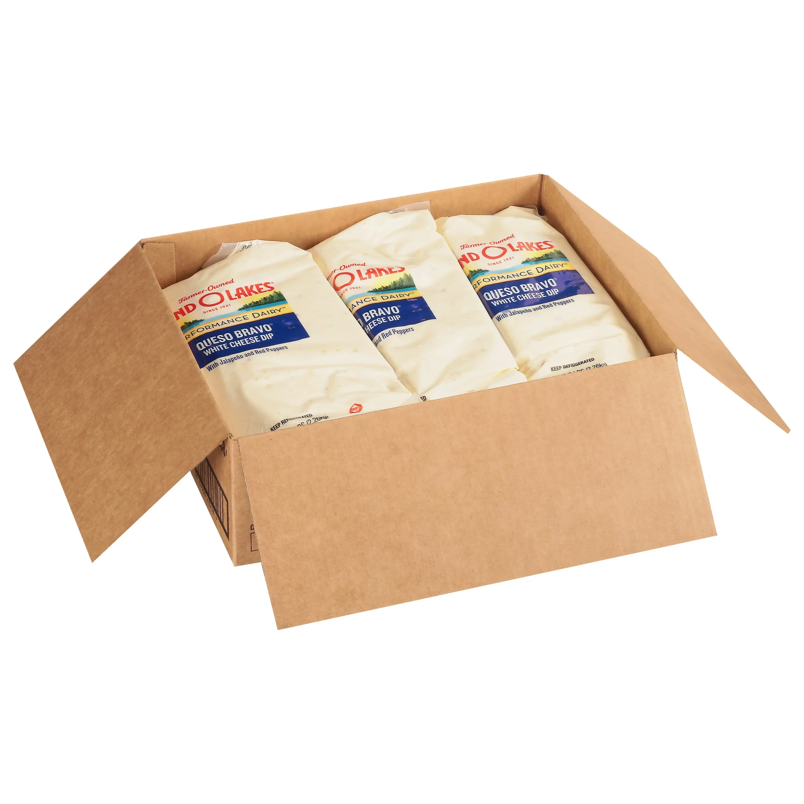 Land-O-Lakes Queso Bravo Cheese Dip With Jalapeno And Red Peppers White 5 Pound Each - 6 Per Case.