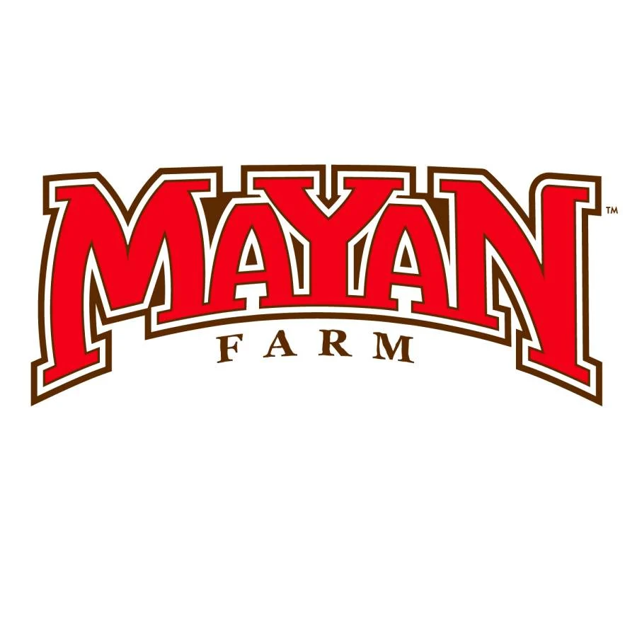 Mayan White Flour Tortillas 10 Inch Inch 10 In - 6 Per Case.