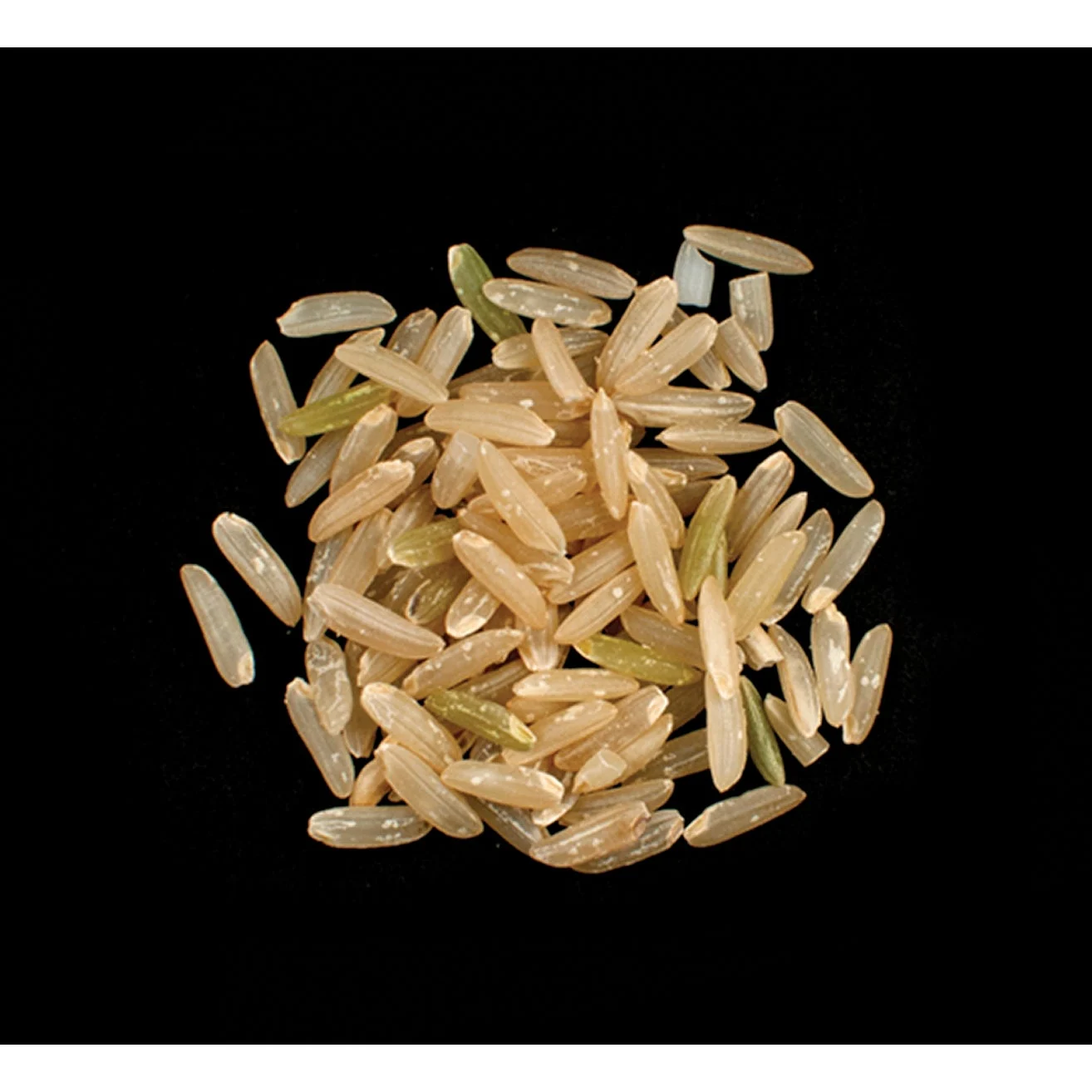 Rice, Brown, Long Grain, Pecan Style,1 - 10 POUND