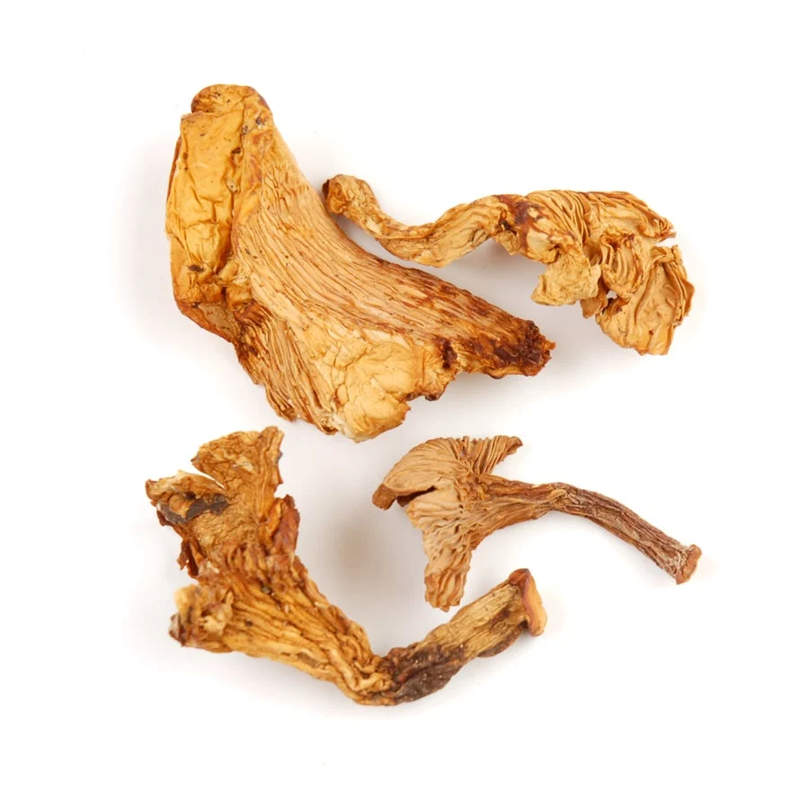 Mushrooms, Chanterelle, Dried, Organic,1 - 10 POUND
