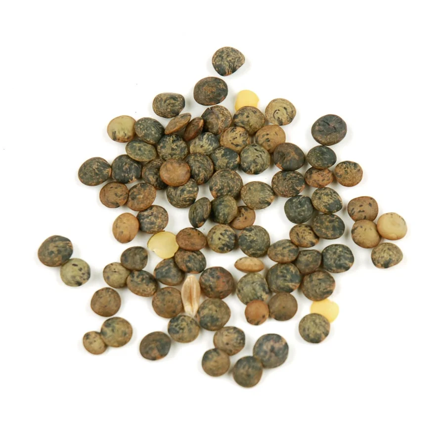 Lentils, French Green, Organic, Dry,1 - 10 POUND