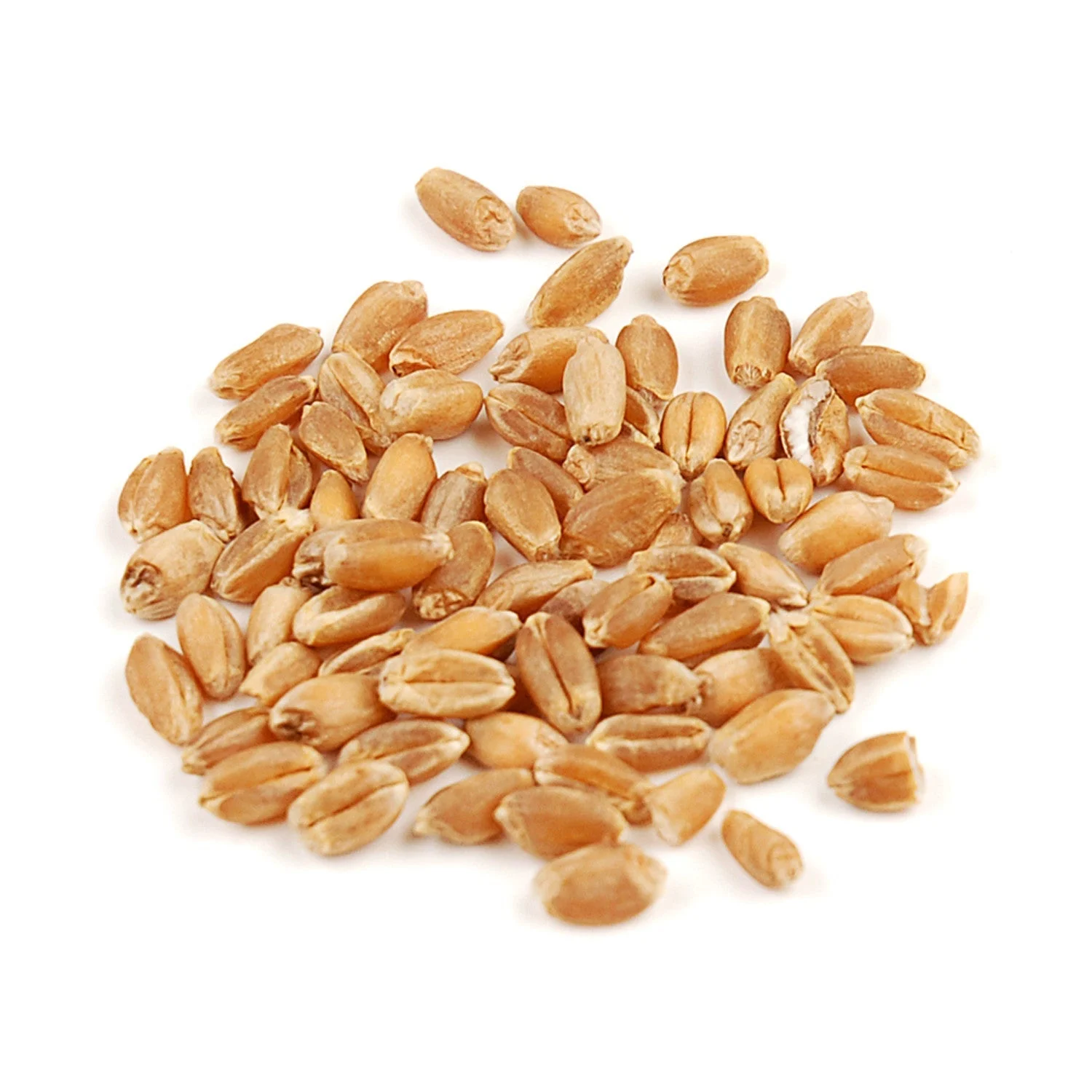 Wheat Berries, Hard Red, Whole Grain, Organic,1 - 10 POUND
