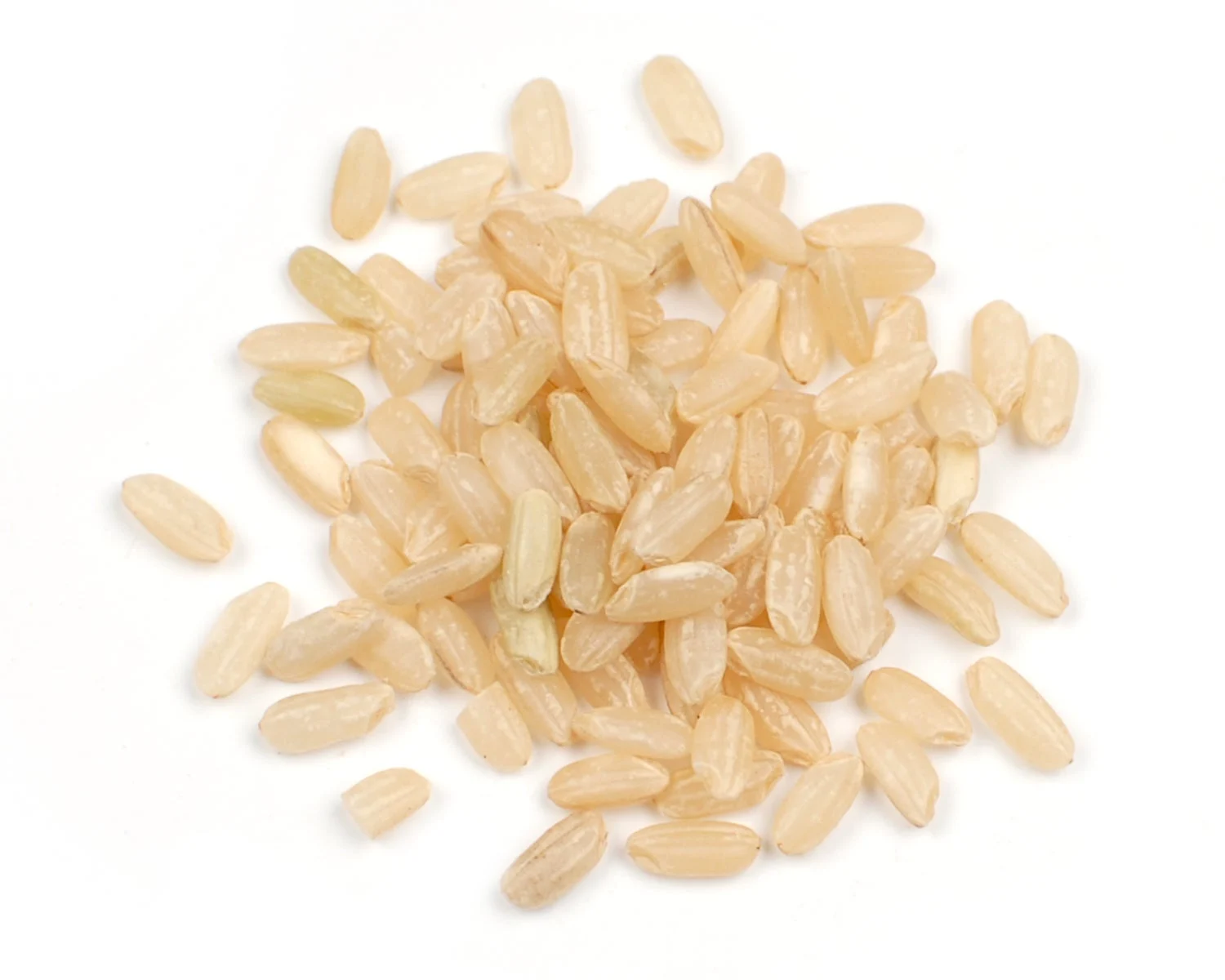 Rice, Brown, Sprouted, Short Grain,1 - 25 POUND