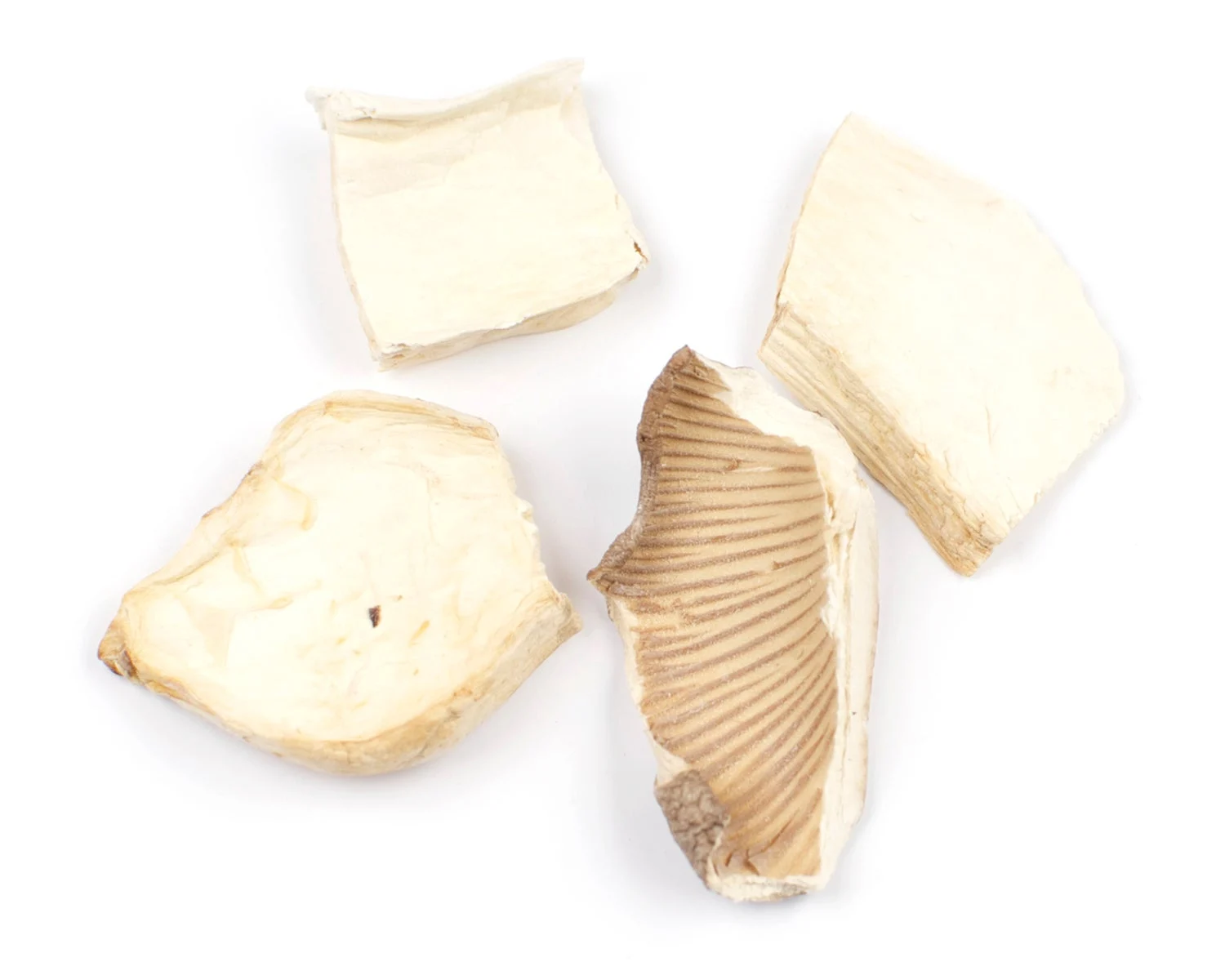 Mushrooms, King Oyster, Dried,1 - 16 OUNCE