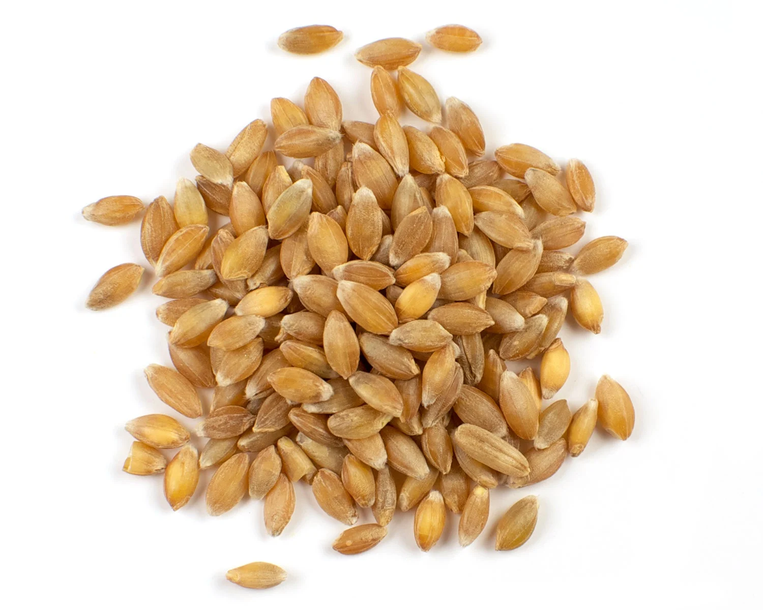 Einkorn, Bag in Box,1 - 10 POUND