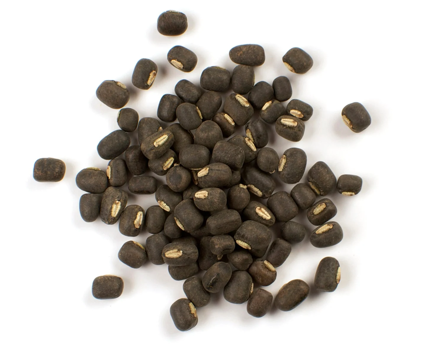 Lentils, Black, Dry-Packed,1 - 25 POUND