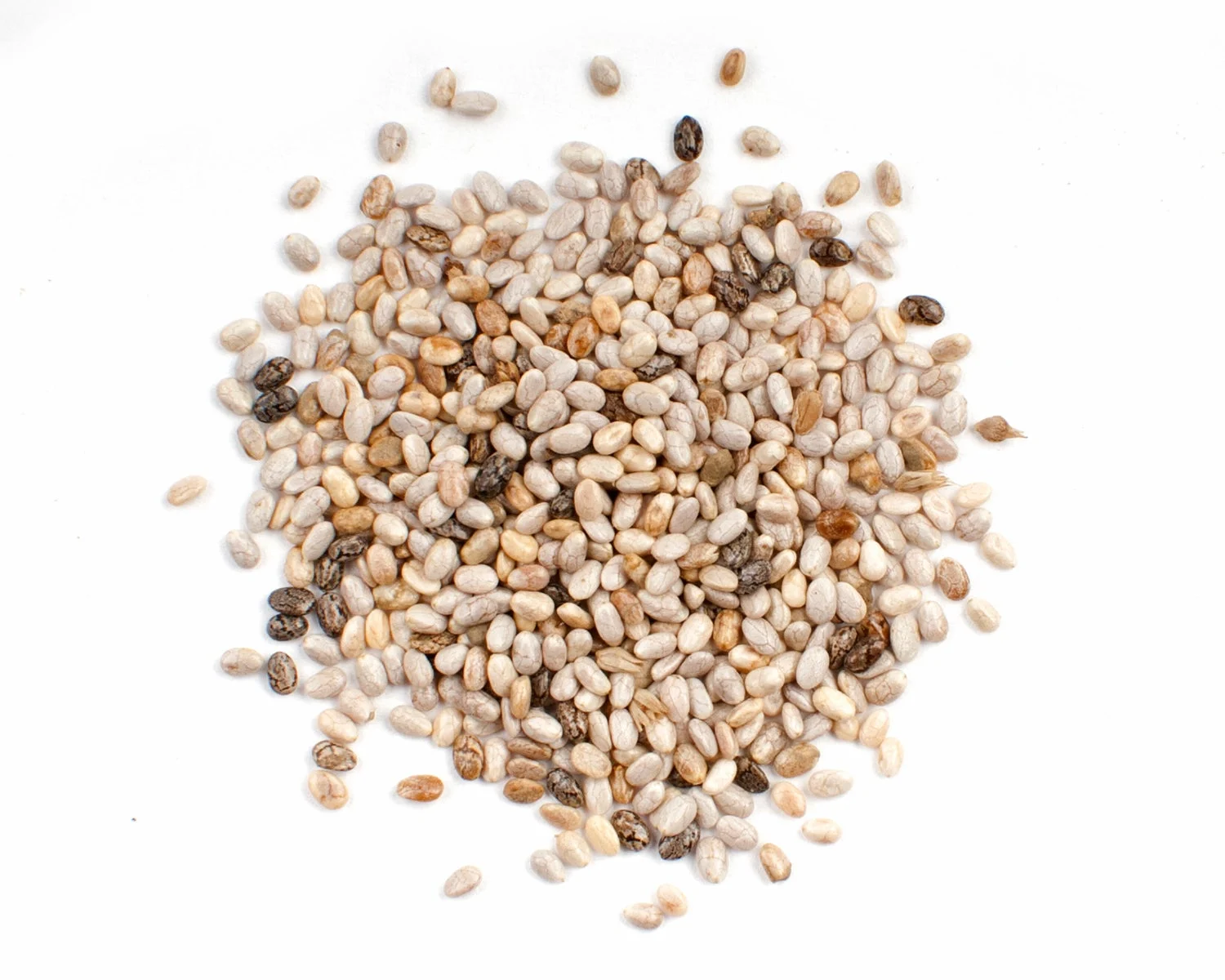 Seeds, White Chia, Organic, Bag in Box,1 - 10 POUND