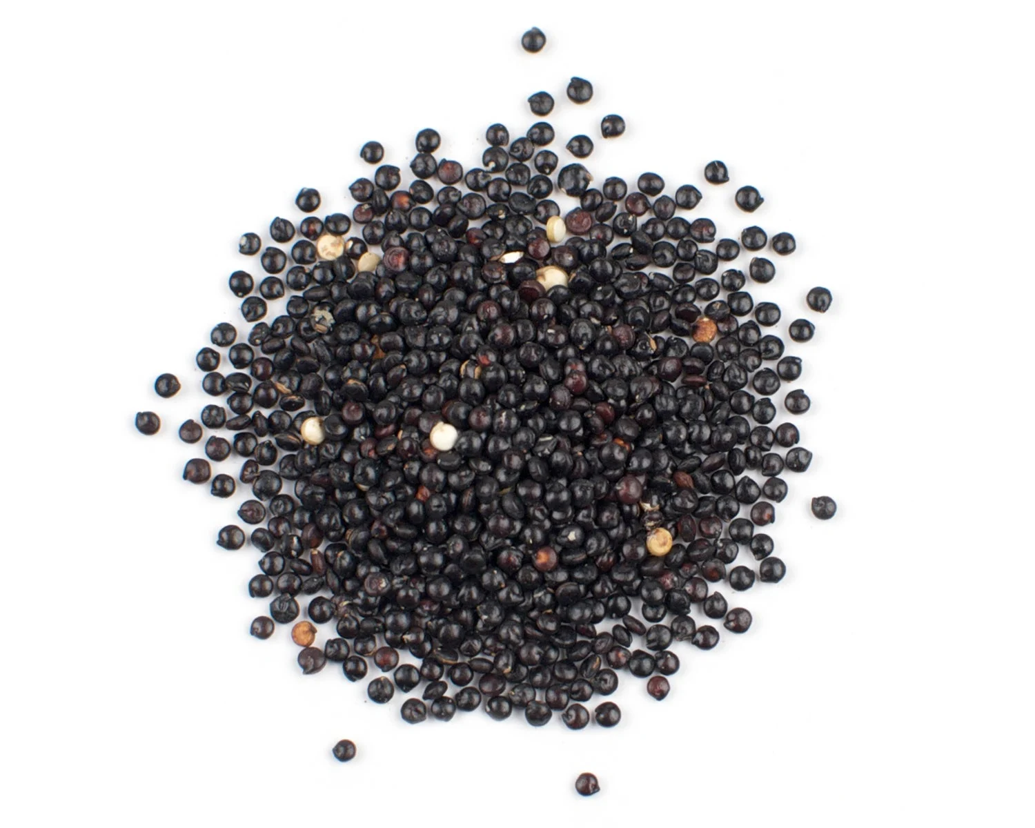 Quonia, Black, Organic,1 - 25 POUND