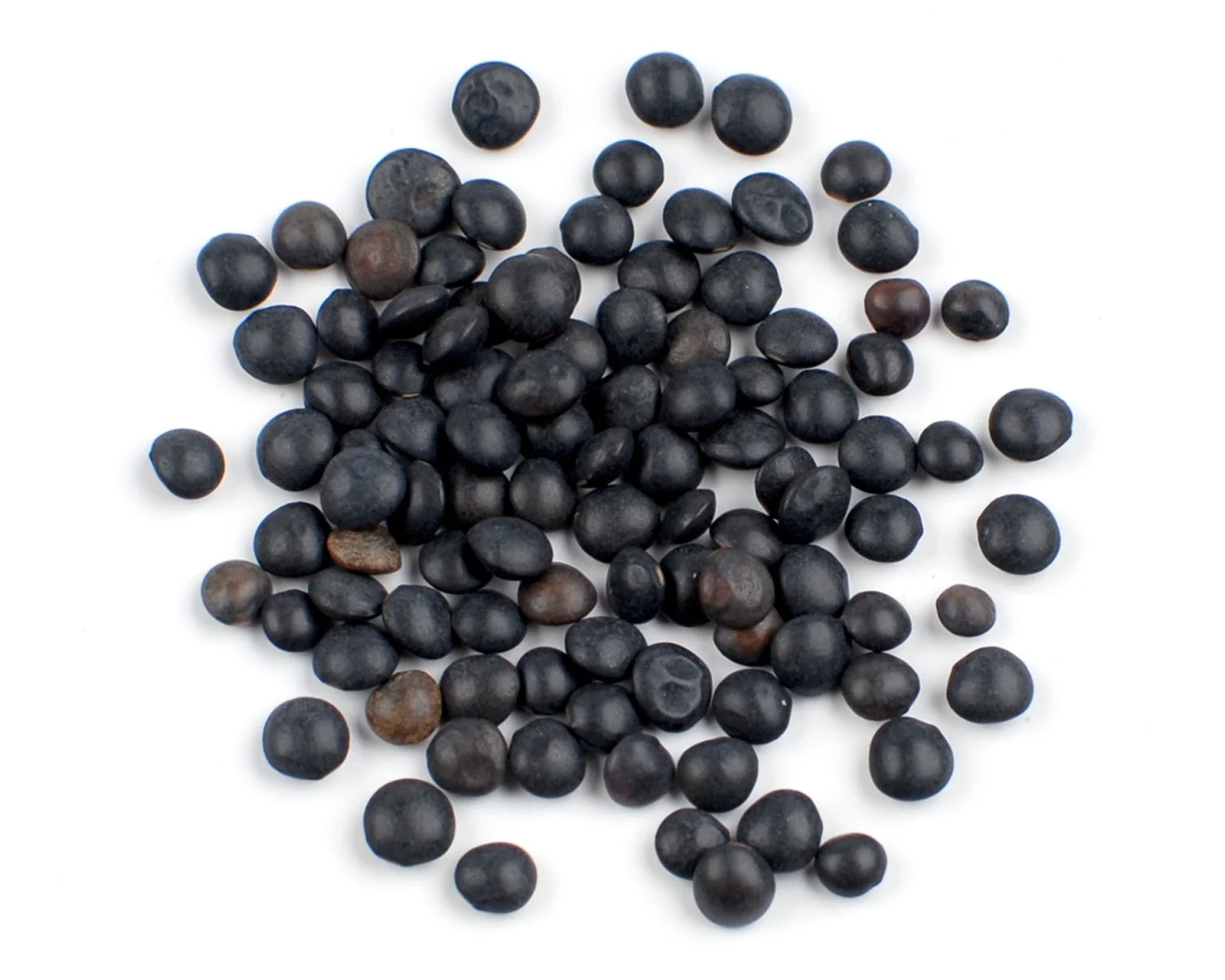 Lentils, Black Beluga, Dry-Packed, Organic,1 - 25 POUND