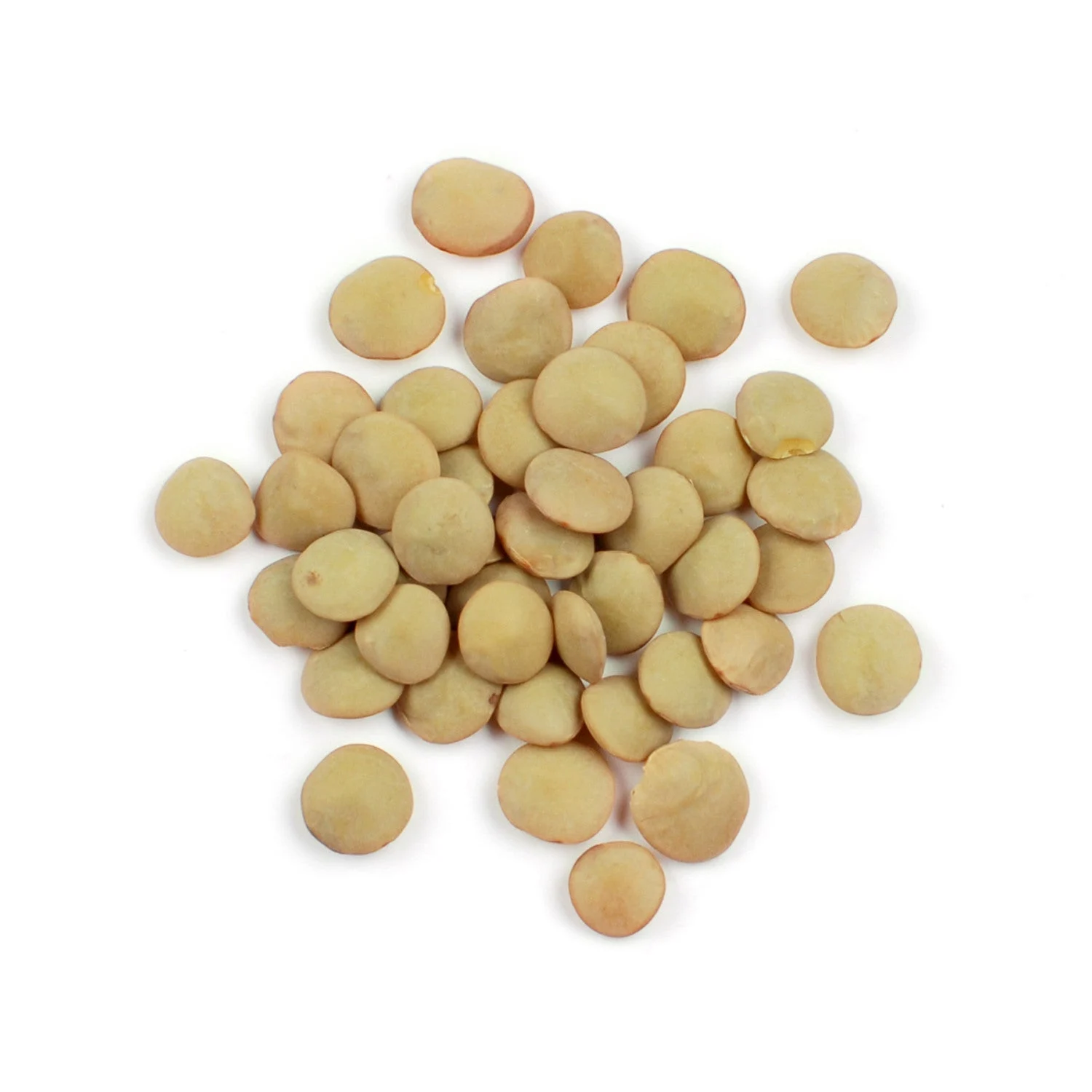 Lentils, Green, Dry-Packed,1 - 25 POUND