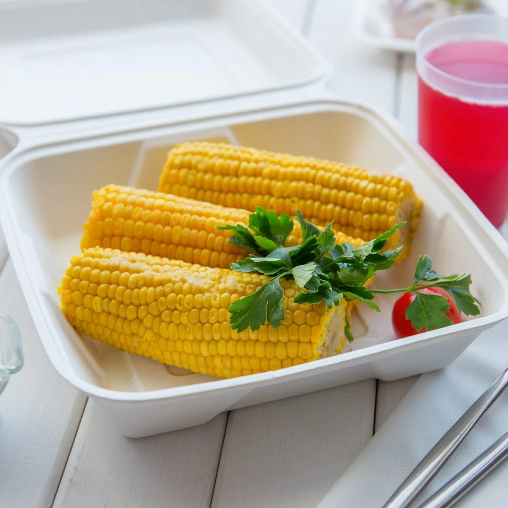 Containers, Take-Out, Large 9.4 Inch, Bagasse, White Collezione Design, Clamshell, 9.4 Linear Inch,1 - 100 COUNT