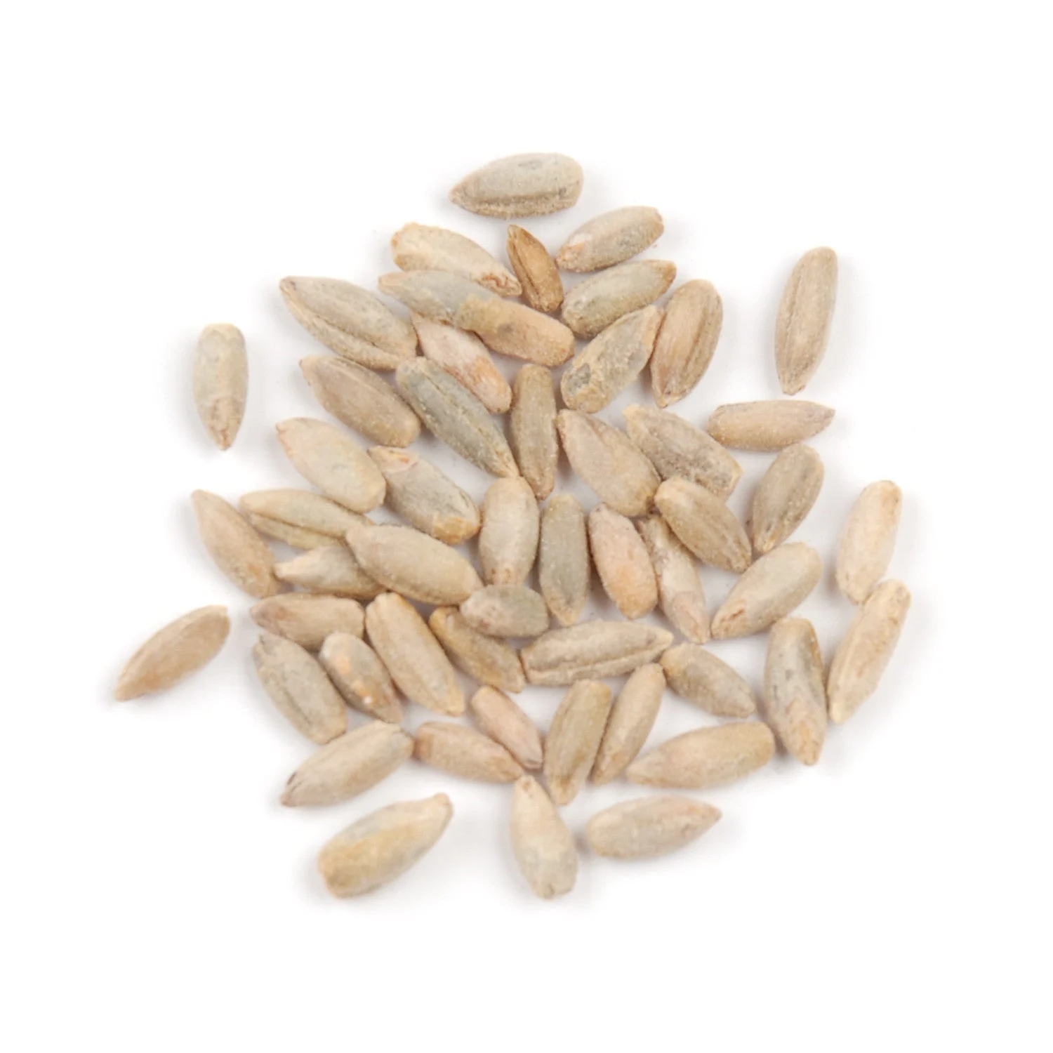 Rye Berries,1 - 10 POUND
