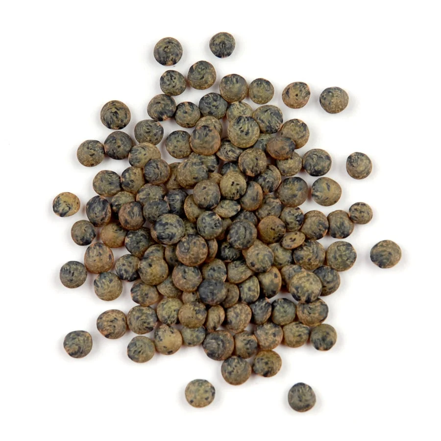 Lentils, French Green,1 - 10 POUND