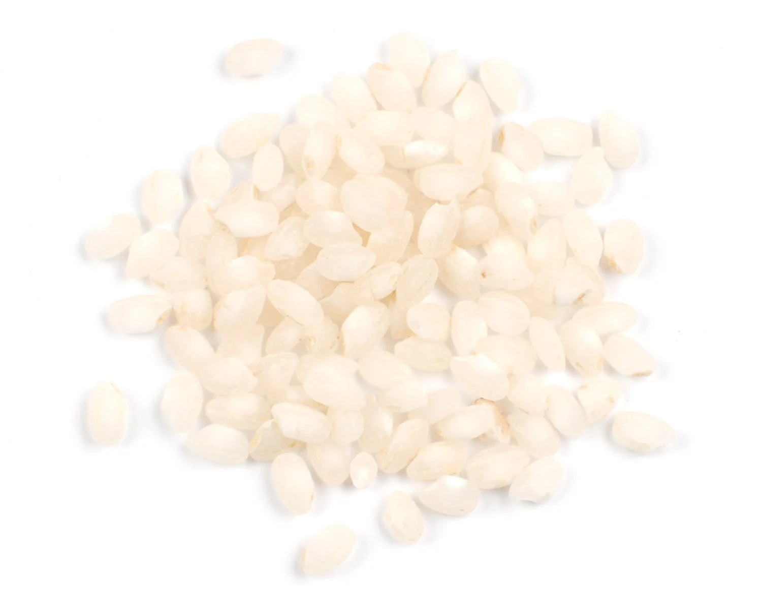 Rice, Bomba, Valencia,1 - 10 POUND
