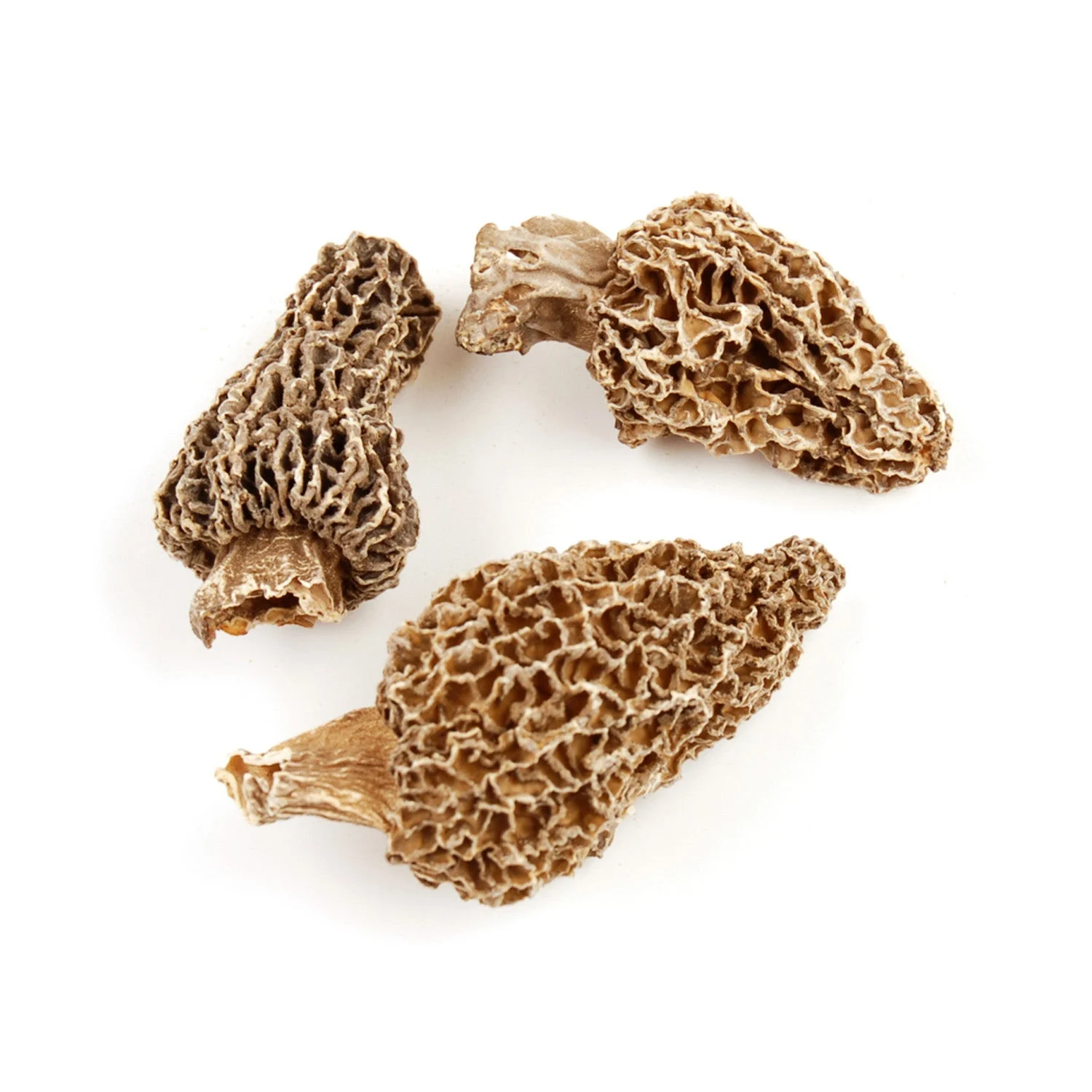 Mushrooms, Morel, Dried,1 - 16 OUNCE