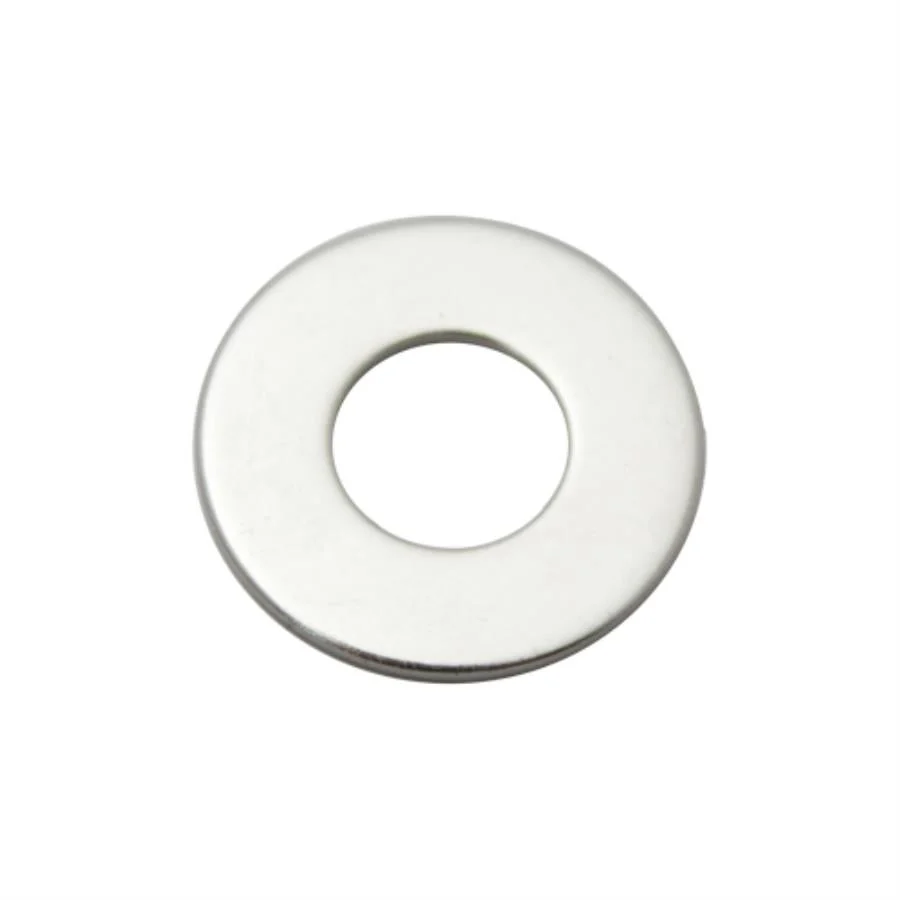 Washer, 0.3125 Inch, For Vegetable Prep Units,1 - 1 EACH