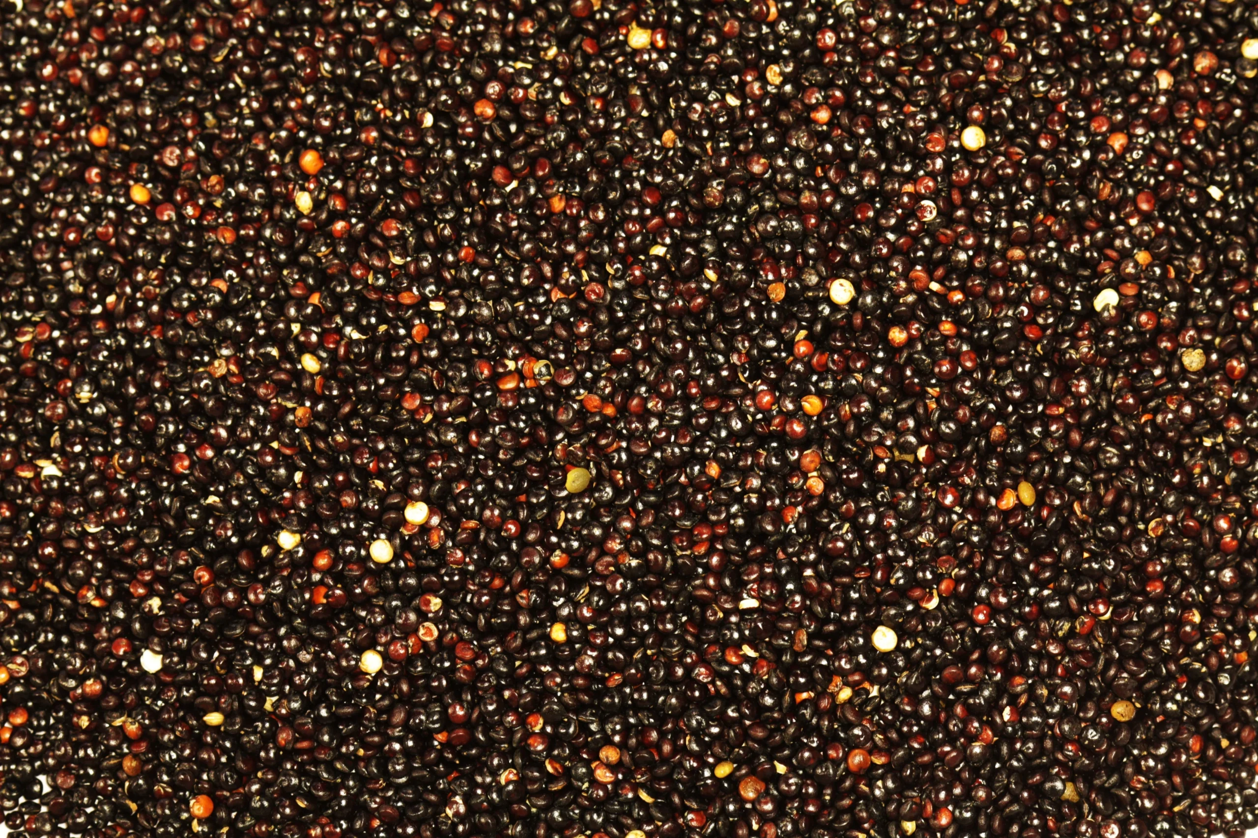 Quinoa, Black,6 - 2.2 POUND