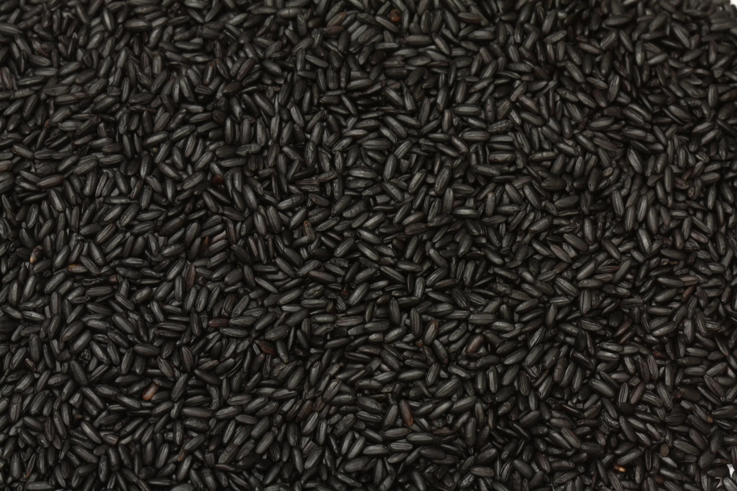 Rice, Ancient Black,6 - 2.2 POUND