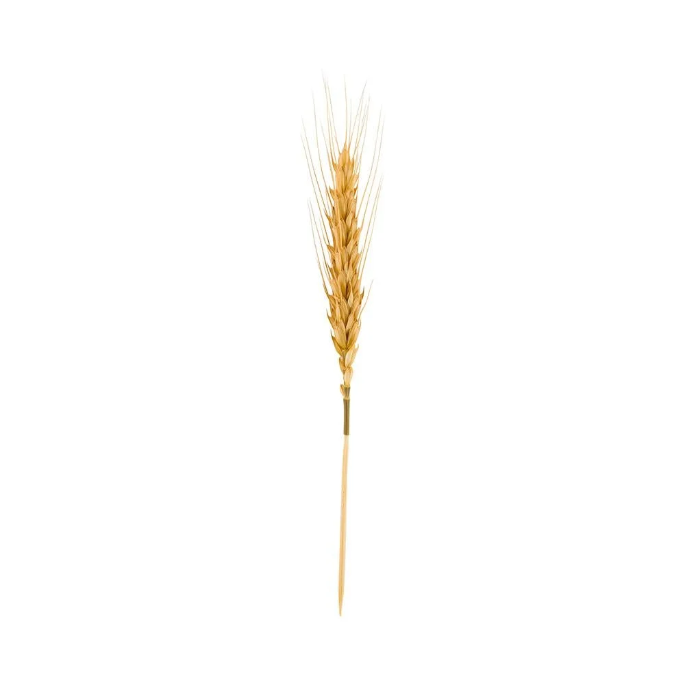 Skewers, Wheat, 6 Inch, Bamboo,1 - 100 COUNT