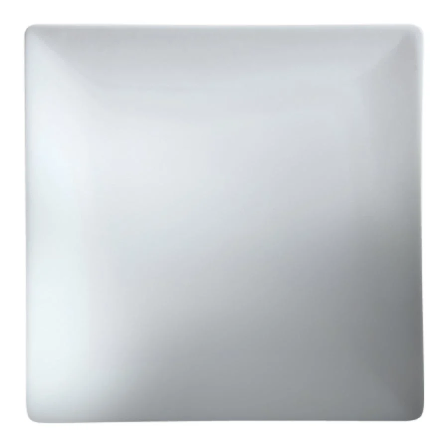 Plates, Coupe, 11 Inch, White, Porcelain, Square,6 - 2 COUNT