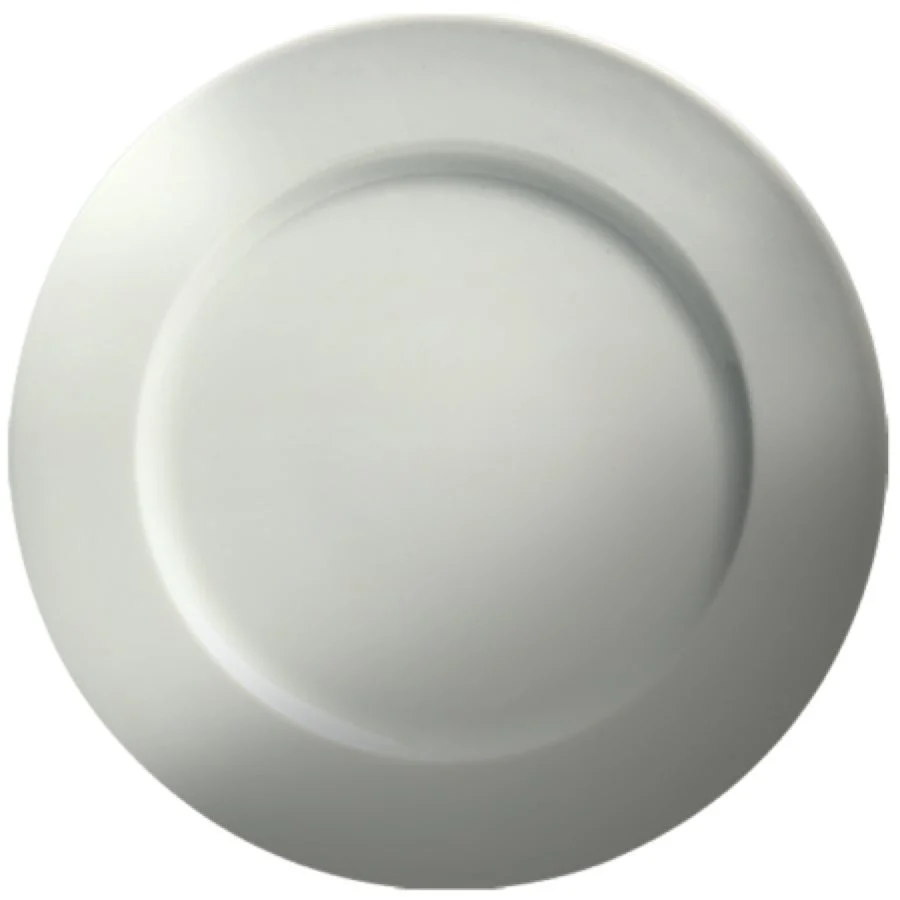 Plates, 12 Inch, Mid Rim, White, Porcelain,6 - 2 COUNT