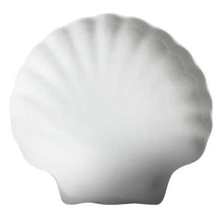 Dishes, Porcelain, 8 Inch, Classic White, Shell,6 - 6 COUNT