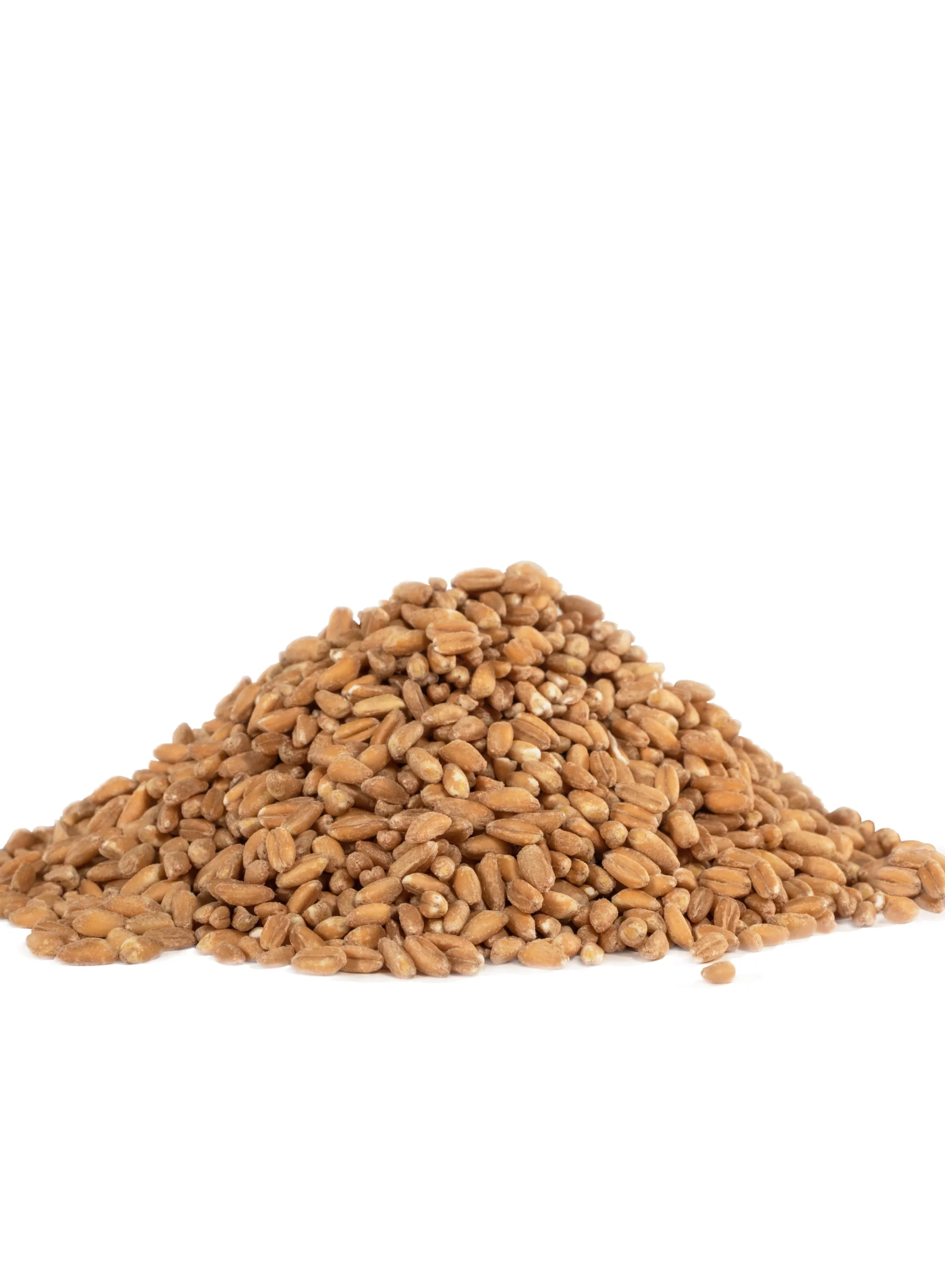 Farro,1 - 25 POUND