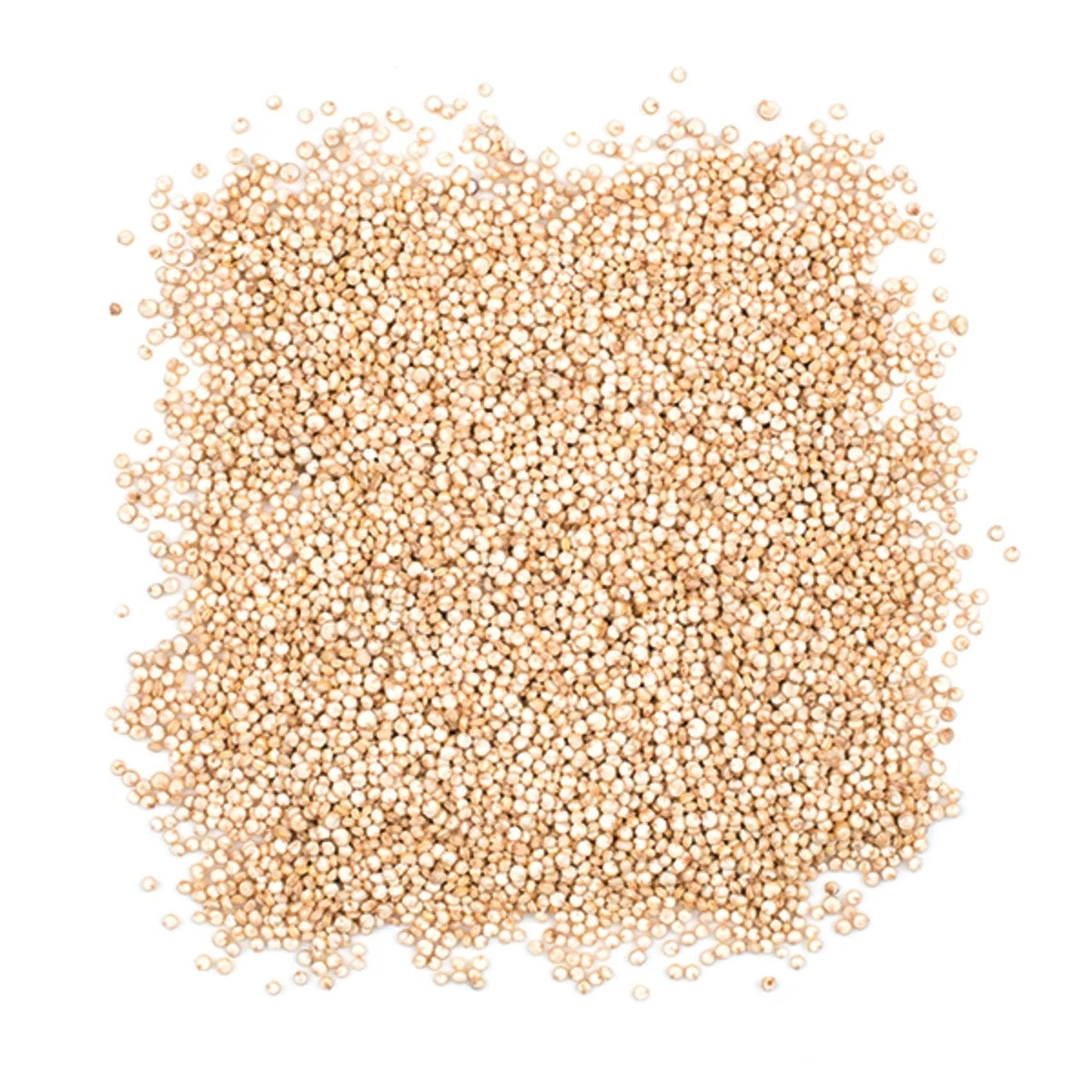 Quinoa, White, Pre-Washed,2 - 5 POUND