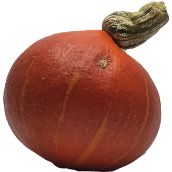 GIY Uchiki Kuri Squash