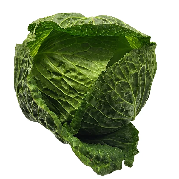 Irish grown Savoy Cabbage