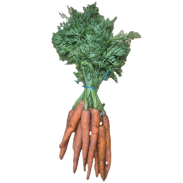 Irish grown Carrots bunch