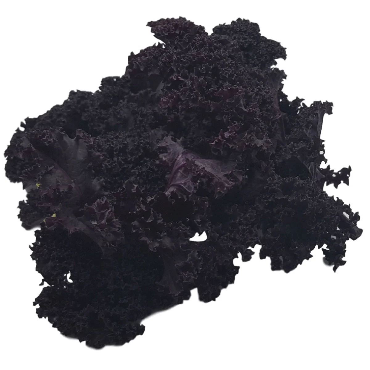 Tom Cleary's Kale