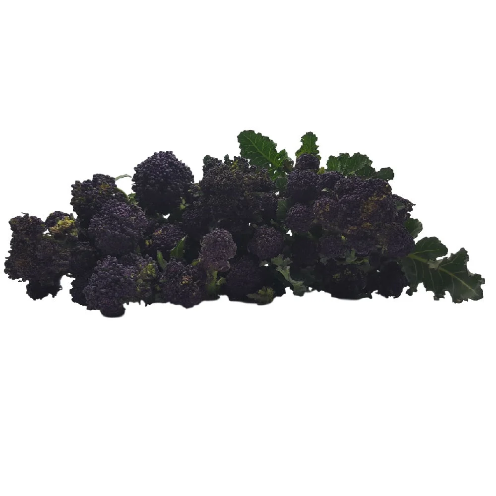 Tom Cleary's Purple Sprouting Broccoli
