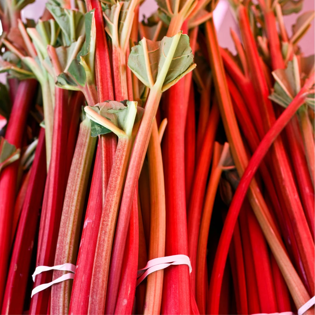 Ralph's Greenhouse Rhubarb