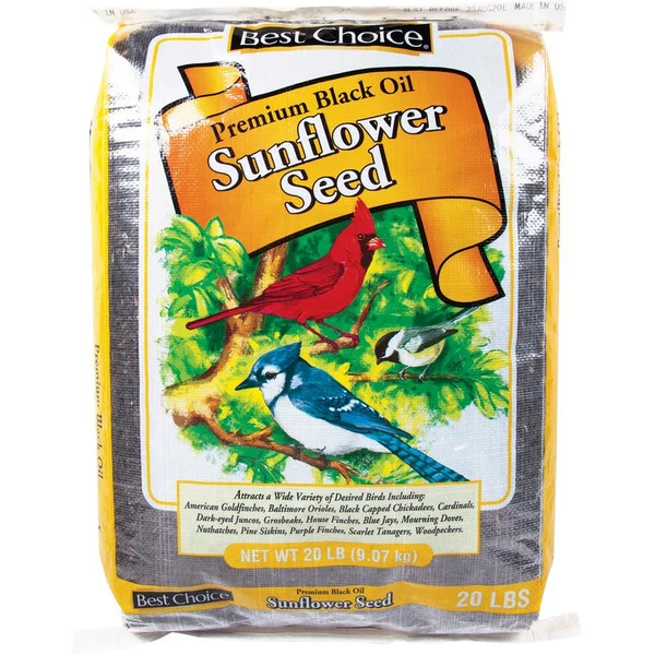 Pure Wonder by Best Choice Premium Black Oil Sunflower Seed