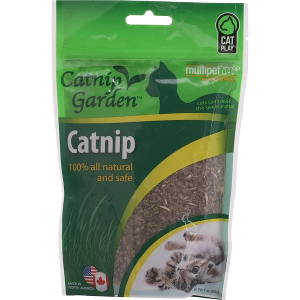 Catnip Garden Catnip