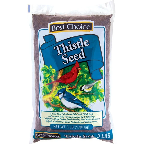 Pure Wonder by Best Choice Thistle Seed