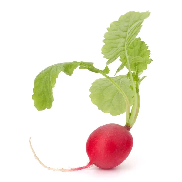 Radish Bag