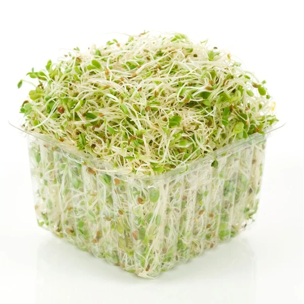 Alfalfa Sprouts Package