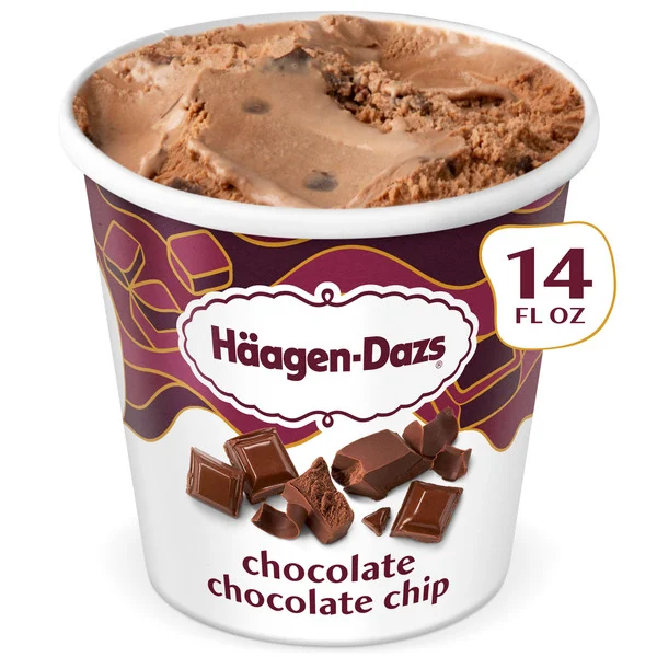 Häagen-Dazs Chocolate Chocolate Chip Ice Cream