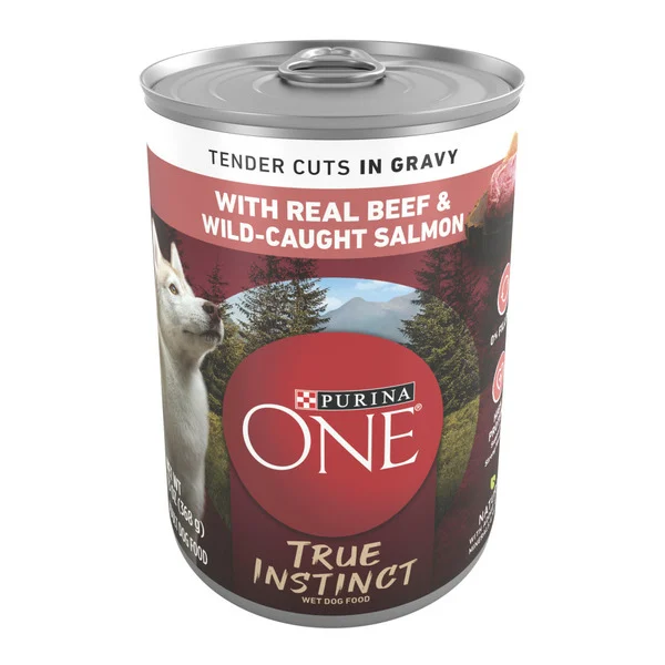 Purina ONE Natural Wet Dog Food Gravy, True Instinct Tender Cuts With Real Beef and Salmon
