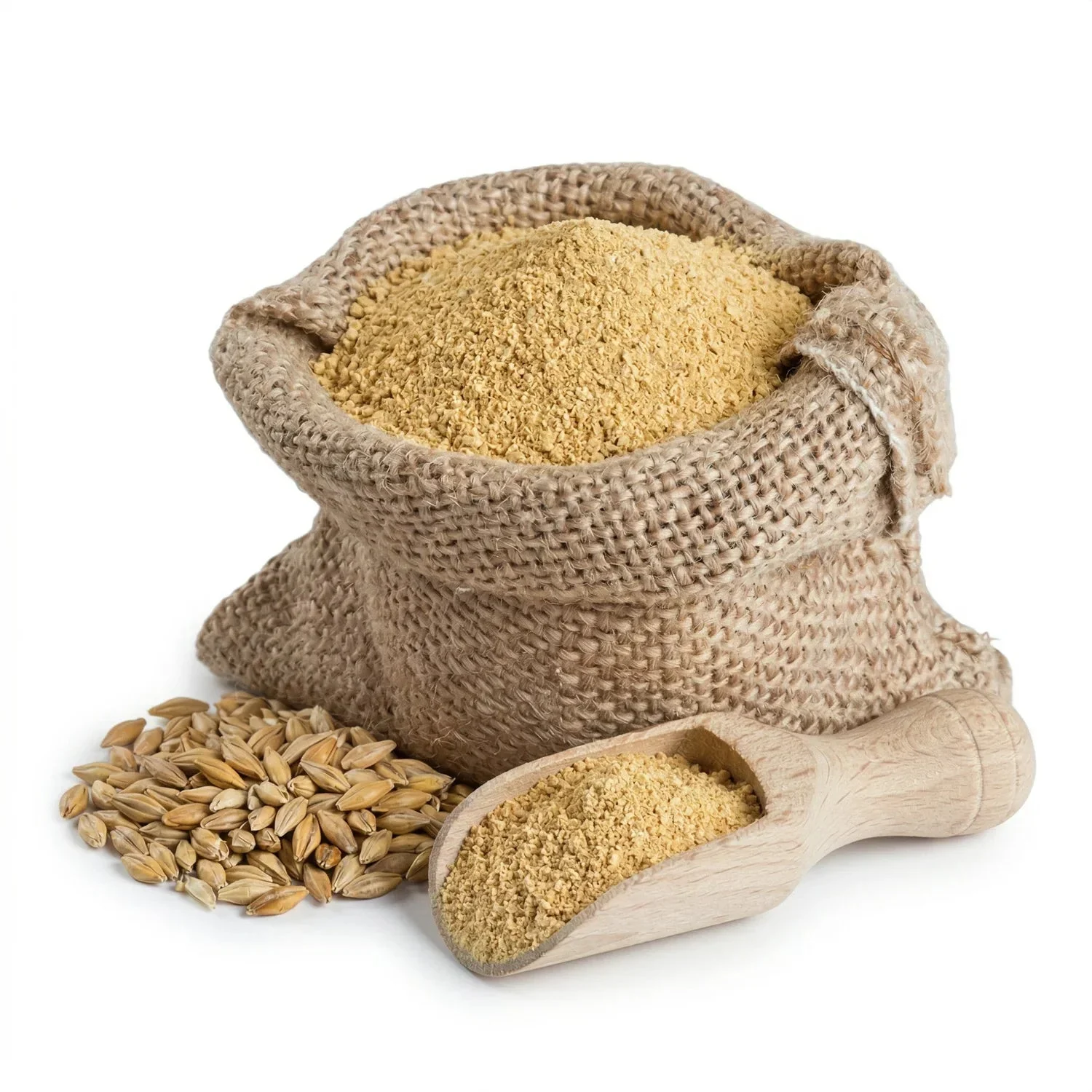 Naturevibe Botanicals Barley Malt Powder 25kg (55lb) Bulk Pack Premium | Perfect for Baking, Brewing & Sweetening