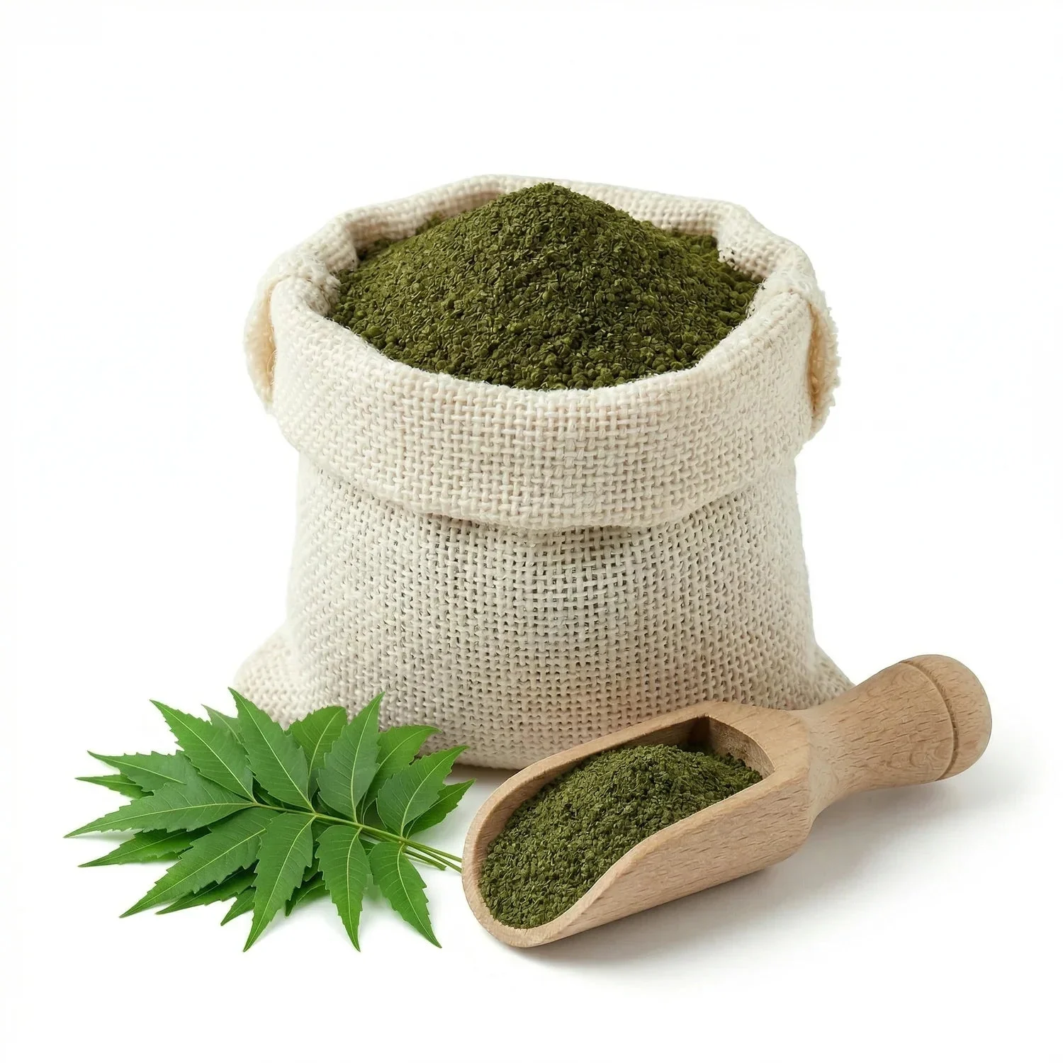 Naturevibe Botanicals Neem Leaf Powder, 10lbs | Azadirachta Indica | Non-GMO and Gluten Free | 100% Pure & Natural