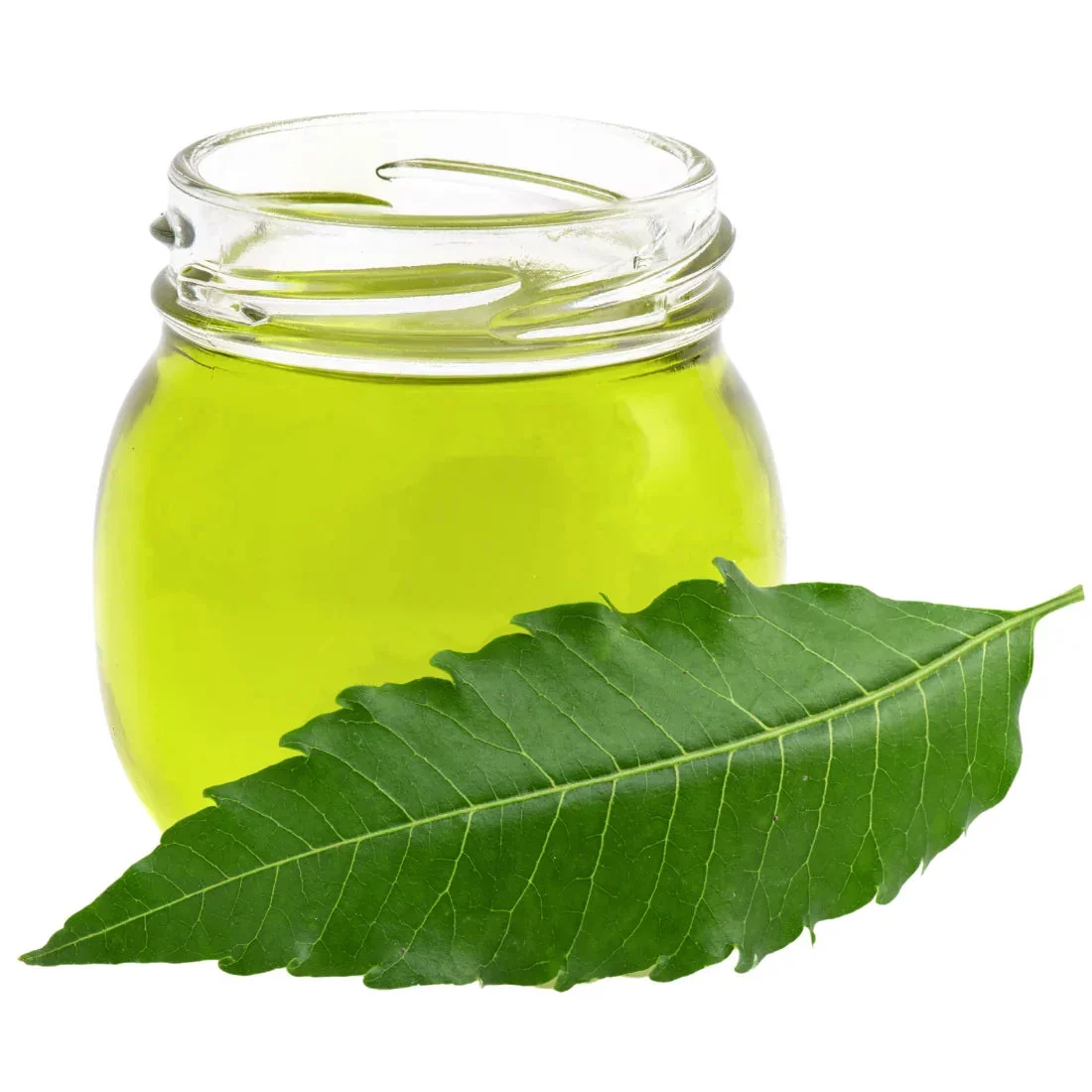 Neem Oil | 100% Pure and Natural Cold Pressed Body Oil | Great for Skin Care and Hair Care